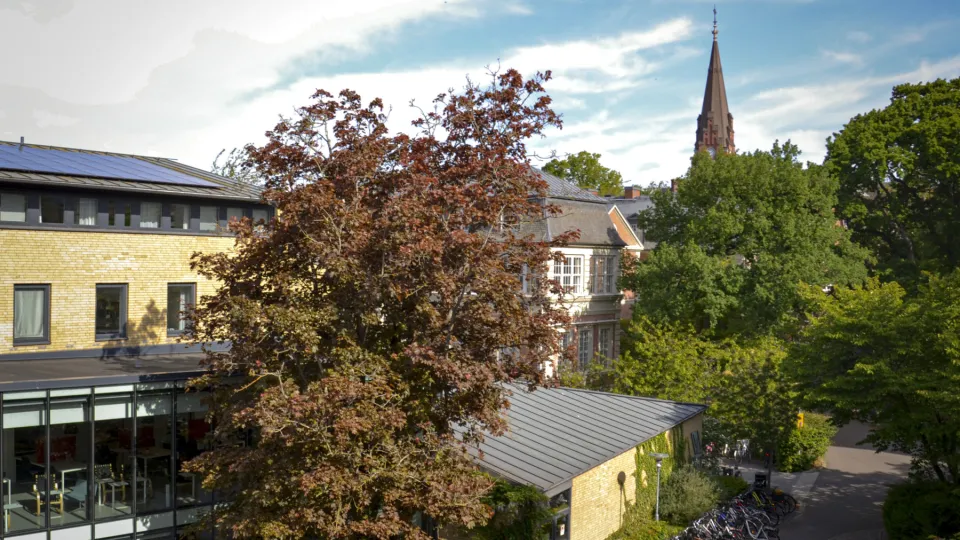 View over Campus Paradis. Photo