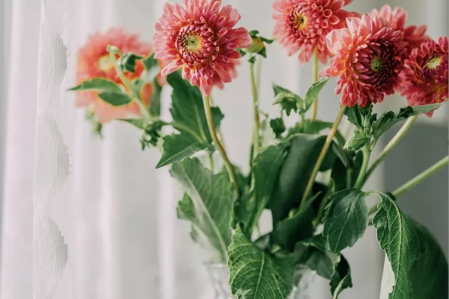 flower bouqet