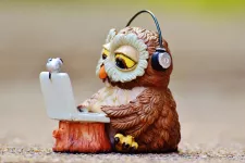Toy owl writing on a computer. Photo.