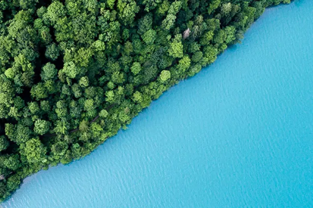 Aerial photo on an ocean and a wood.