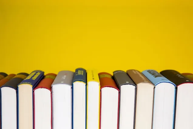 Picture by Hermann.jpg books in front of a yellow background