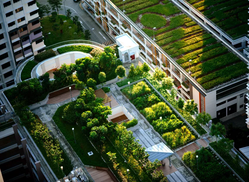 Top view of building with trees. Photo.