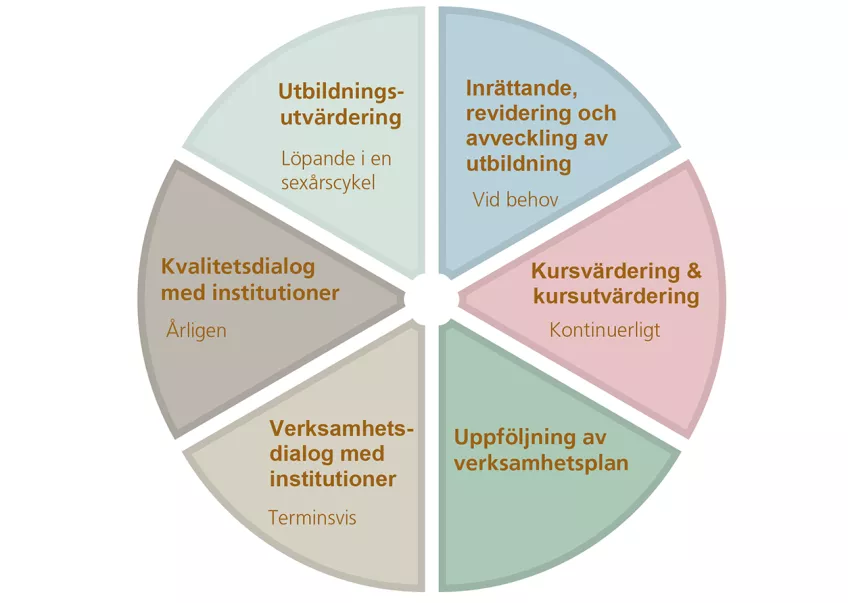 Cirkeldiagram som visar de sex delarna i fakultetens kvalitetssäkringsarbete. Illustration.