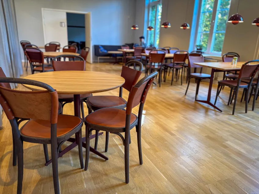 Foto. Matbordsstolen Vilda från Gemla, en blivande klassiker