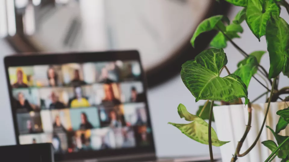 En datorskärm med ett pågående digitalt möte. En växt står bredvid. Foto.