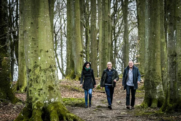 Tre professorer som promenerar i skogen.