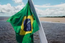 Brasilianska flaggan. Foto.