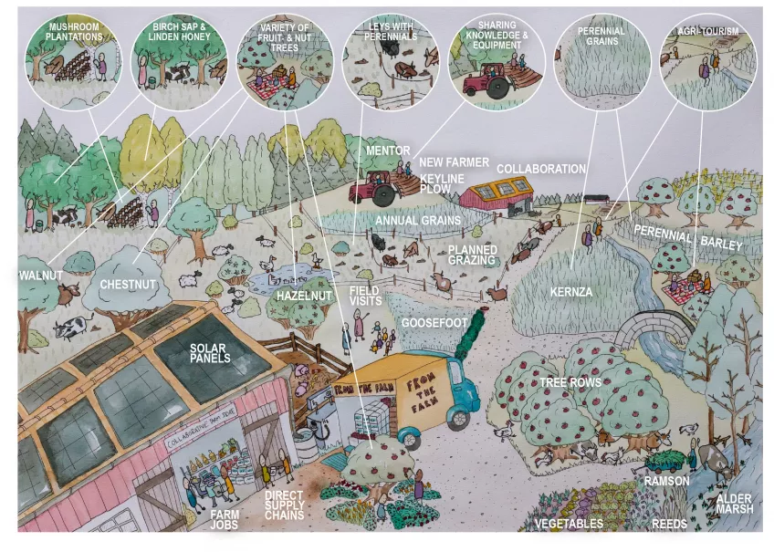 Forskaren Emma Johansson har illustrerat olika aktiviteter ett hållbart kolinlagrande jordbruk kan engagera sig i. Illustration.